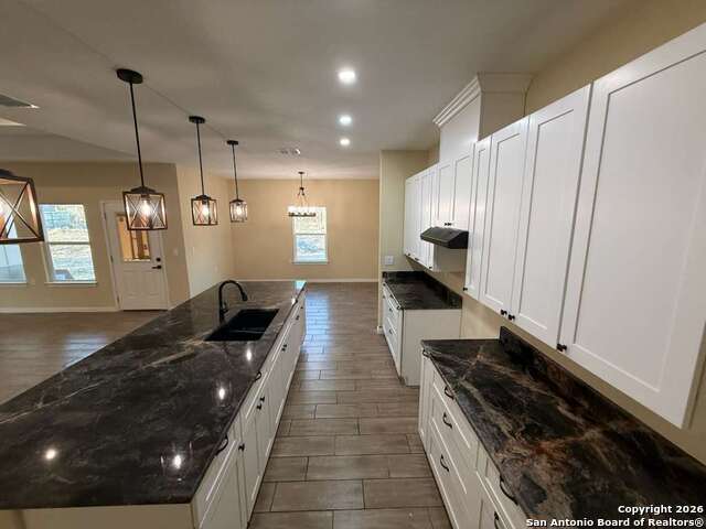 Image 11 of 54 For 48 Grey Fox  