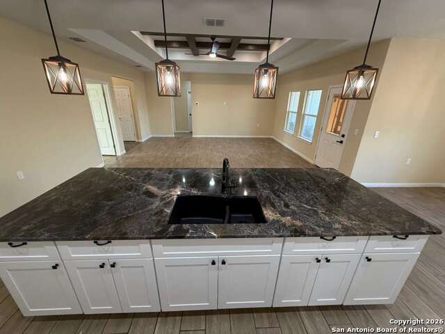 Image 12 of 54 For 48 Grey Fox  