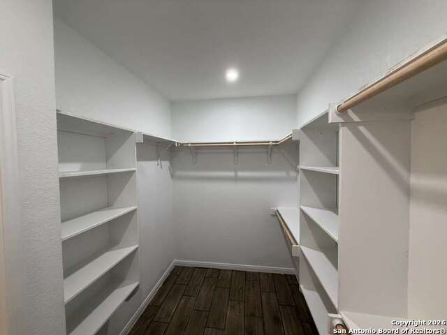 Image 18 of 54 For 48 Grey Fox  