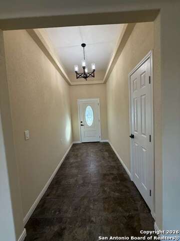 Image 27 of 54 For 48 Grey Fox  