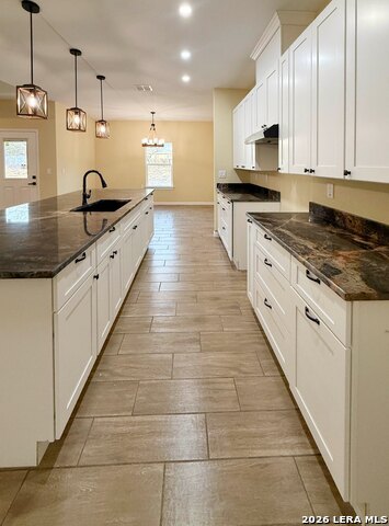 Image 41 of 54 For 48 Grey Fox  