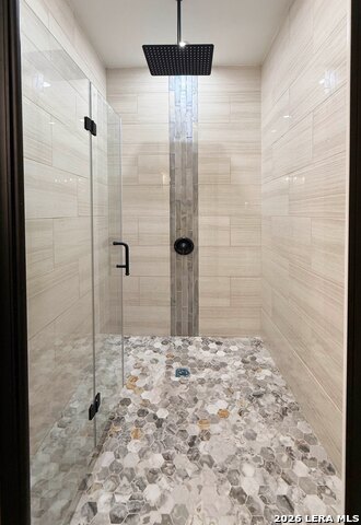 Image 49 of 54 For 48 Grey Fox  