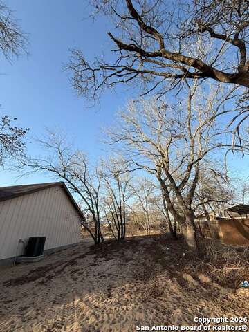 Image 7 of 54 For 48 Grey Fox  