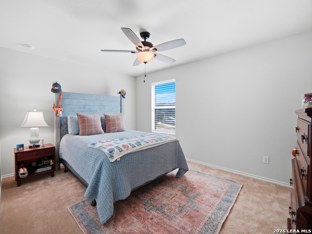 Image 21 of 38 For 456 Nova Zembla