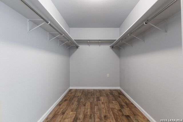 Image 15 of 36 For 54 Longleaf Coral