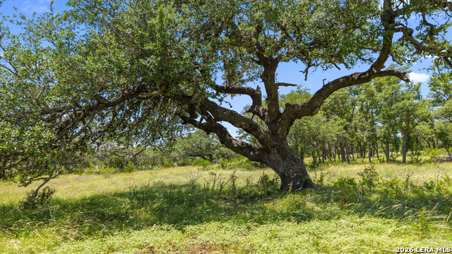 Image 20 of 24 For Tbd Tr2 Lindeman Ln