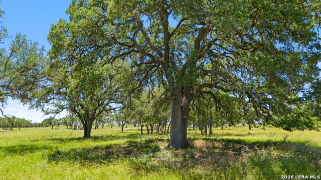 Image 5 of 24 For Tbd Tr2 Lindeman Ln