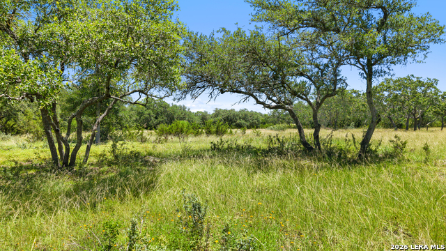 Image 7 of 24 For Tbd Tr2 Lindeman Ln