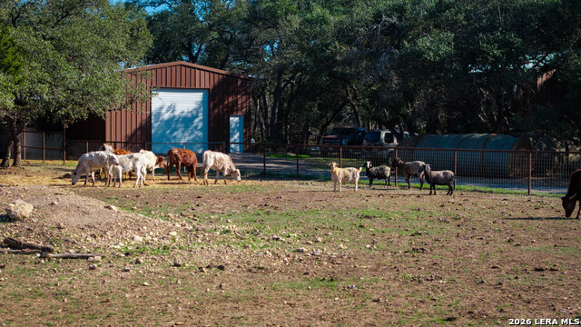 Image 27 of 52 For 2444 Purgatory