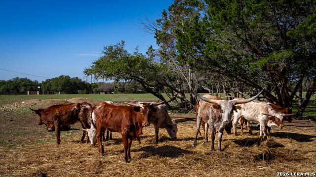 Image 29 of 52 For 2444 Purgatory