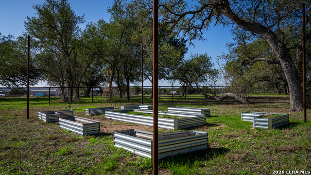 Image 31 of 52 For 2444 Purgatory