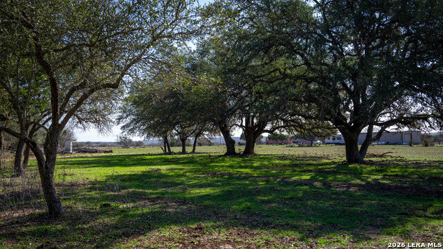 Image 34 of 52 For 2444 Purgatory