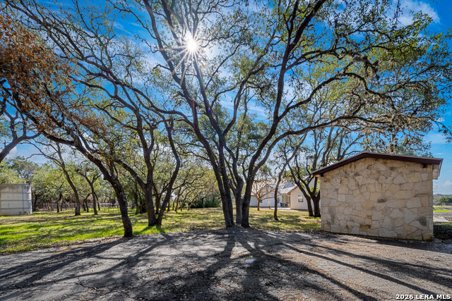 Image 37 of 52 For 2444 Purgatory