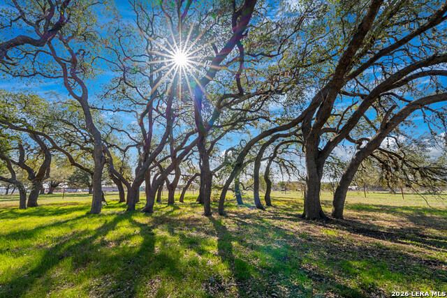 Image 40 of 52 For 2444 Purgatory