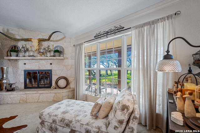 Image 8 of 52 For 2444 Purgatory