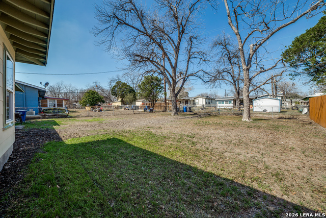 Image 25 of 25 For 123 Mink  