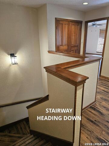 Image 26 of 33 For 7 Donore Sq  