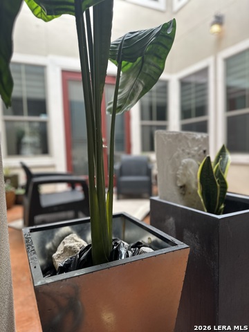 Image 4 of 29 For 4171 Texas Elm