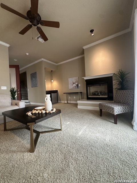 Image 6 of 29 For 4171 Texas Elm