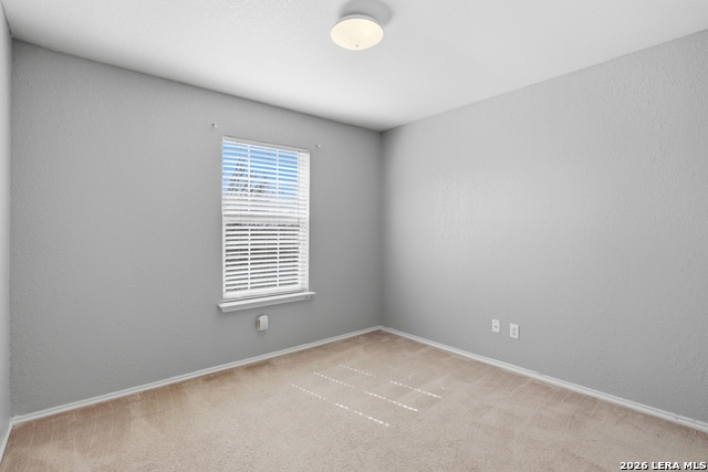 Image 19 of 25 For 6351 Wild Flower