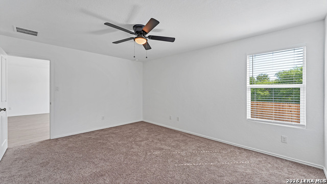 Image 10 of 23 For 332 Elephants Ear