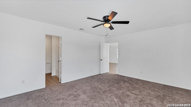 Image 11 of 23 For 332 Elephants Ear