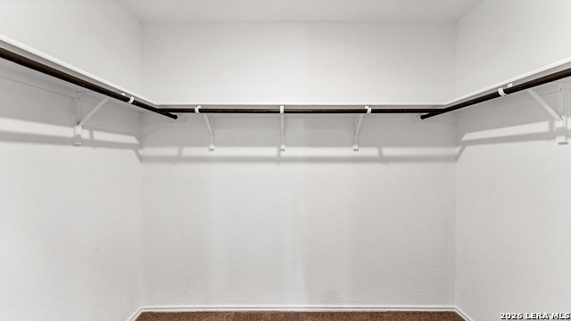 Image 14 of 23 For 332 Elephants Ear