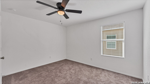 Image 15 of 23 For 332 Elephants Ear