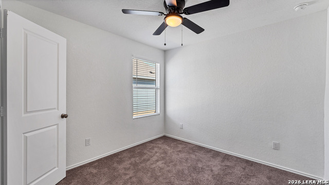 Image 17 of 23 For 332 Elephants Ear