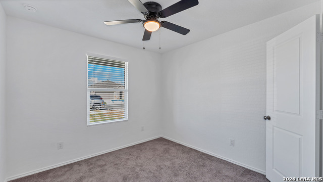 Image 18 of 23 For 332 Elephants Ear