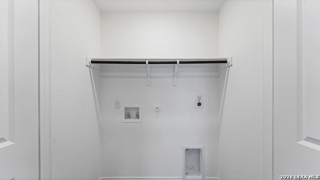 Image 19 of 23 For 332 Elephants Ear