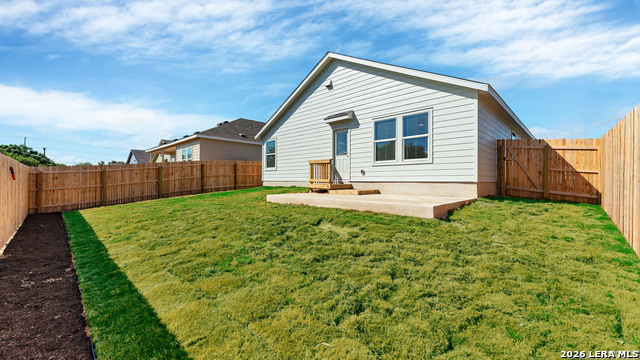 Image 21 of 23 For 332 Elephants Ear
