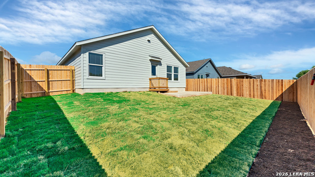 Image 22 of 23 For 332 Elephants Ear