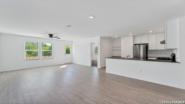 Image 3 of 23 For 332 Elephants Ear