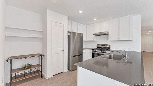 Image 6 of 23 For 332 Elephants Ear