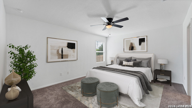 Image 8 of 23 For 332 Elephants Ear