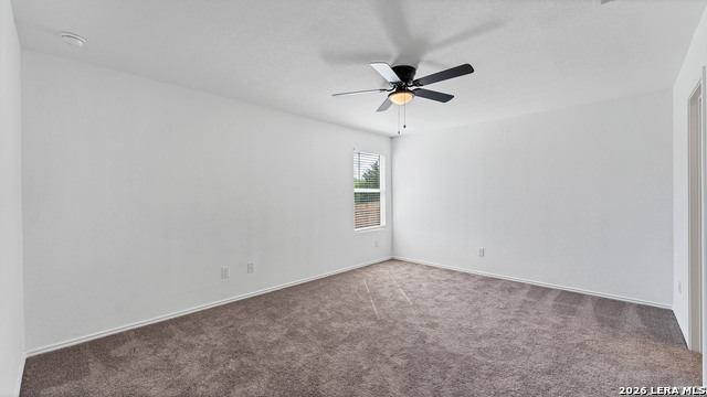 Image 9 of 23 For 332 Elephants Ear