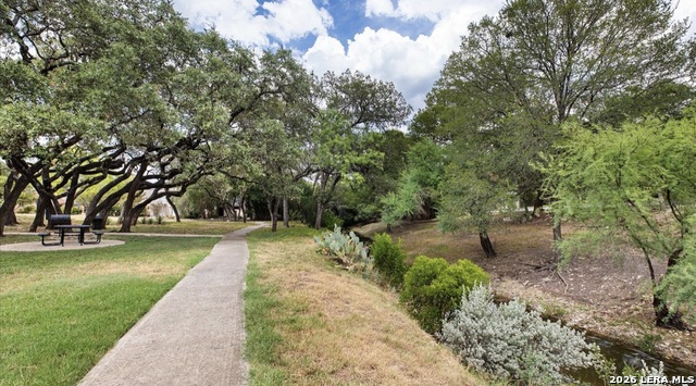 Image 6 of 53 For 11702 Pepper Tree