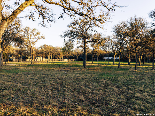 Image 5 of 5 For 1025 Blanco  