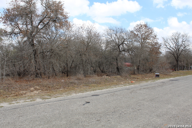 Image 4 of 5 For 290 Spur Ridge