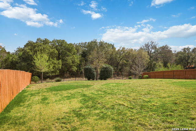 Image 44 of 47 For 2006 Buckner