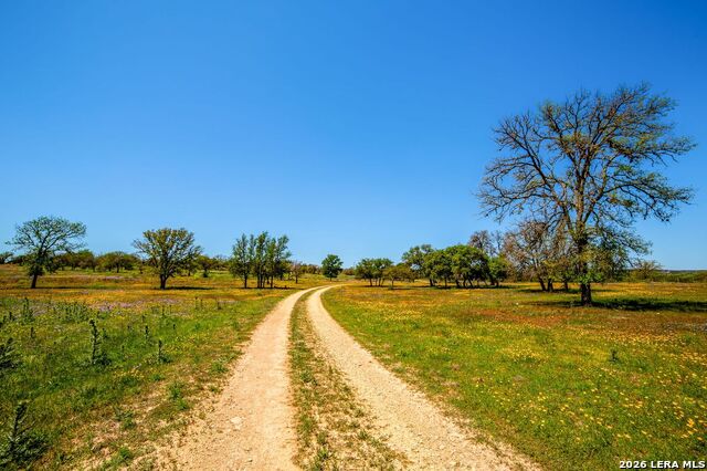 Listing photo id 1 for 567 Bear Creek Road