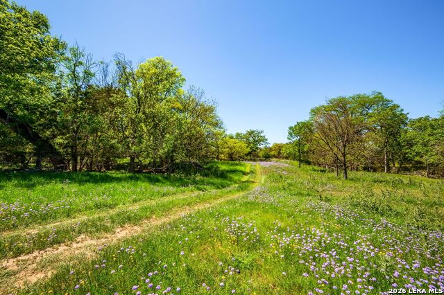 Listing photo id 3 for 567 Bear Creek Road