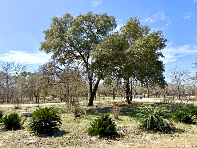 Image 9 of 18 For 1275 Morning Glory