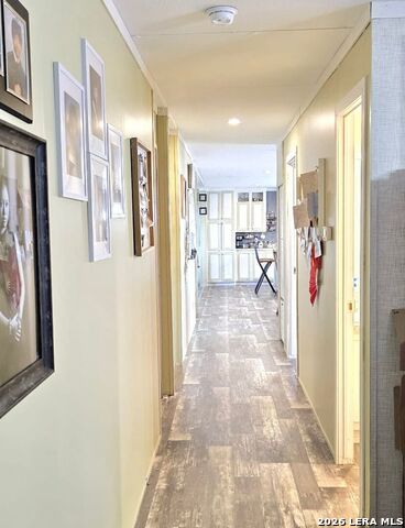 Listing photo id 11 for 250 County Road 4631