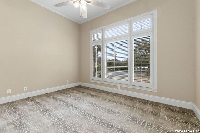 Image 31 of 49 For 7 Oxford Hall