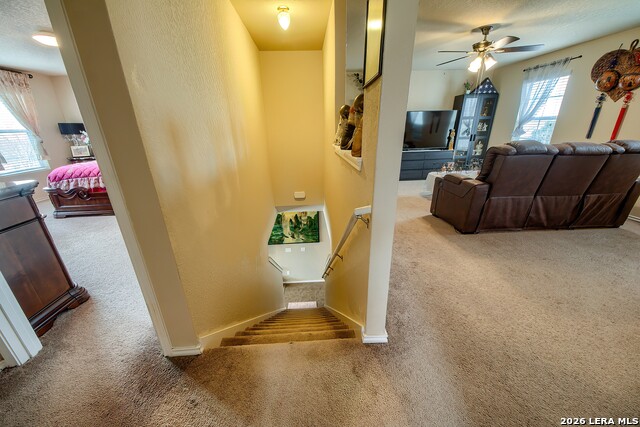 Image 18 of 33 For 9630 Copper  