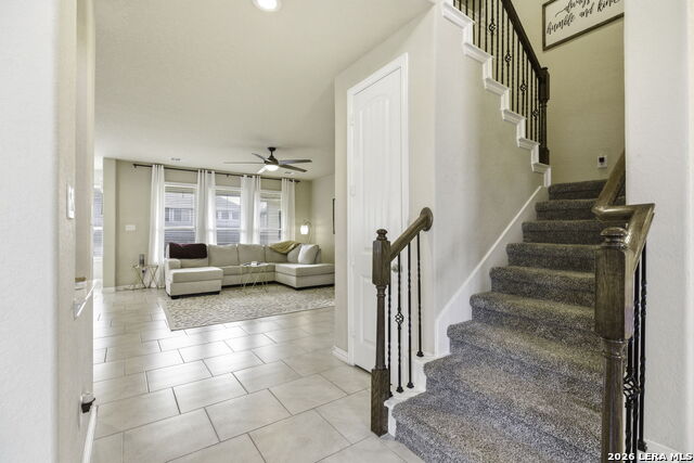 Image 12 of 27 For 3780 Cremini