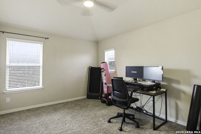 Image 20 of 27 For 3780 Cremini