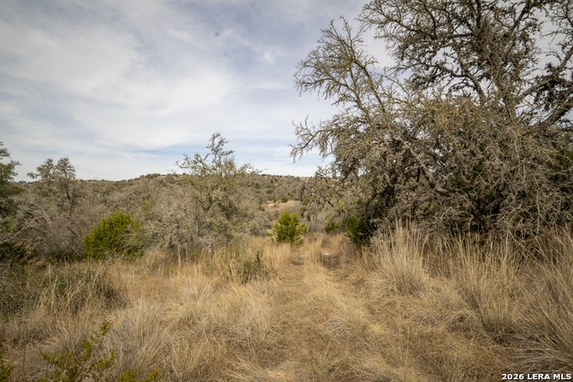 Image 10 of 16 For 100 Stieler Valley